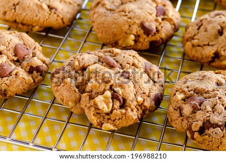 Warm homemade chocolate chip cookies sitting on wire cooling rack on yellow gingham checked towel