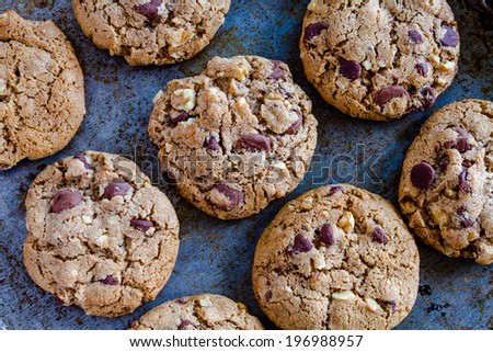 Warm chocolate chip cookies with walnuts sitting on texture baking pan