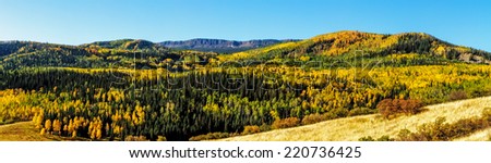 Mountain slopes filled with changing yellow, orange and green Aspen trees on sunny fall morning