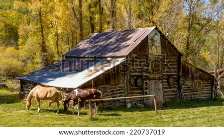 2 horses grazing in front of rustic wooden barn decorated with old western wagon wheels