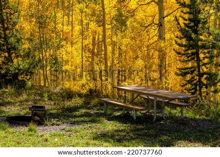 Picnic table and grill at picnic site in national forest filled with changing yellow Aspen trees on fall afternoon