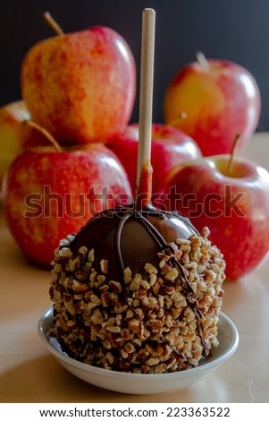 Gourmet caramel apples with nuts and chocolate drizzle sitting on small white plate with red apples