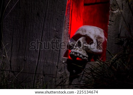 Scary Halloween skull bones sitting in hole in old abandoned wood building lit with red light