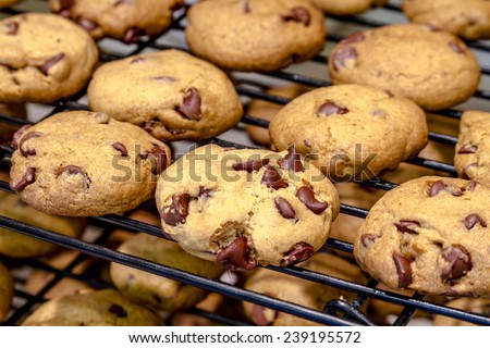 Rows of chocolate chip cookies cooling on wire baking rack sitting on counter top