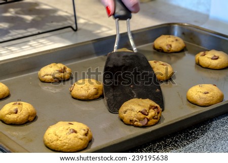 Black baking spatula scooping chocolate chips cookies off of baking pan