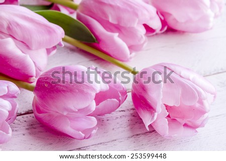 Bouquet of pink tulips laying on antique pink wooden table