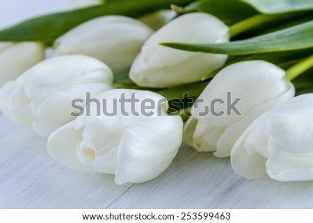 Close up of bouquet of white tulips laying on white wooden table