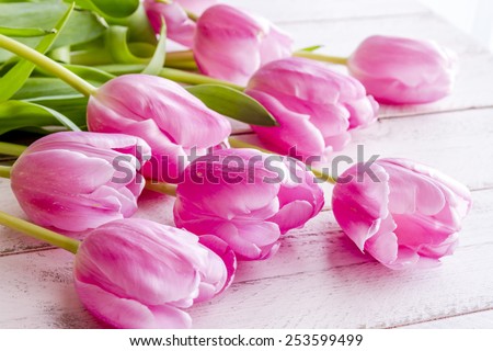 Bouquet of pink tulips laying on antique pink wooden table