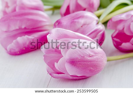 Close up of bouquet of pink tulips laying on white wooden table