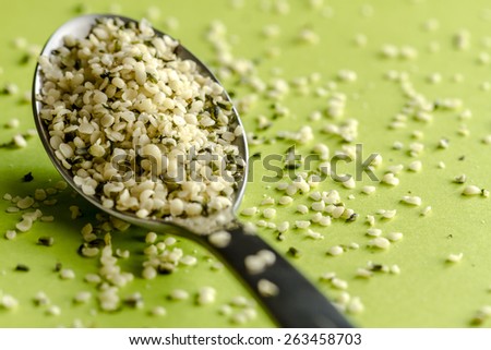 Close up of organic hemp seeds on silver spoon sitting on green background
