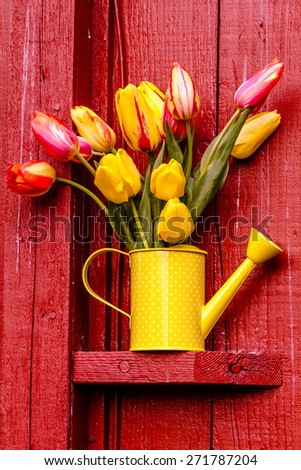 Yellow and orange tulip stems in yellow polka dotted watering can sitting sitting on outdoor shelf on red barn