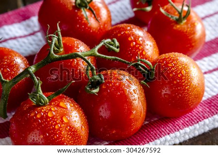 Fresh organic Campari tomatoes on the vine sitting on red striped towel with water drops