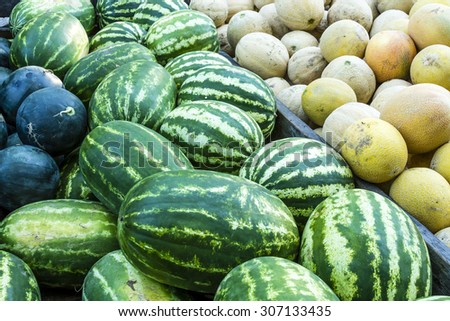 Assorted fresh organic watermelons and cantaloupes sitting in back of trailer for sale at local farmers market