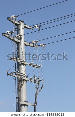The details of transmission line assembly, which shown the details of aluminum wire and insulator installed. Birds are sitting on the wire and steel pole but did not get any hurt from electricity.