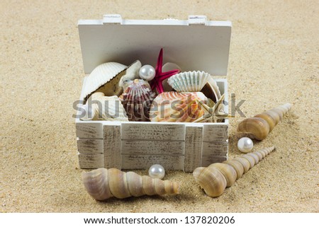 shells on sand. starfish. treasure