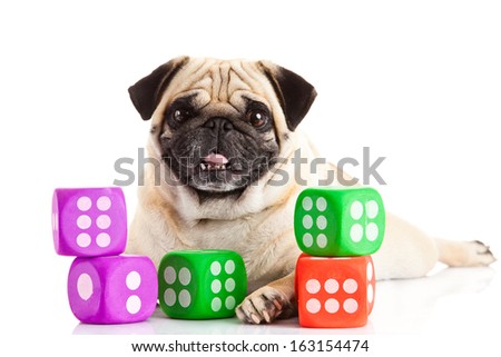pug dog thread balls isolated on white background dices