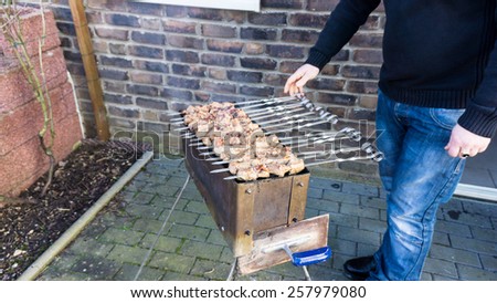 shashlik  - traditional russian barbecue.  meat on barbeque. smoke. bbq  food.meal