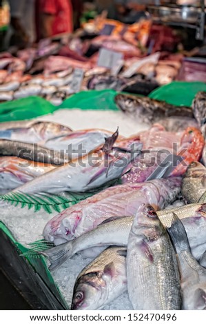 General view of a fish shop in a market