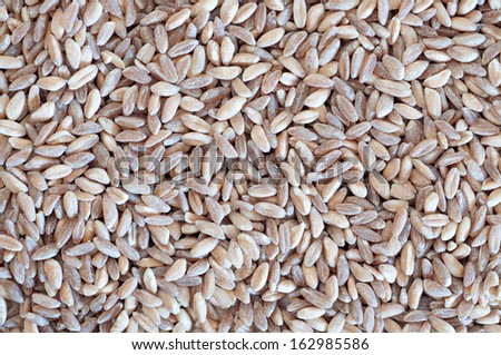 Macro detail of a special grain background