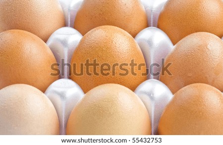 Close up of fresh country eggs