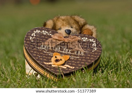 Teddy bear made by natural mink sitting in a gift box