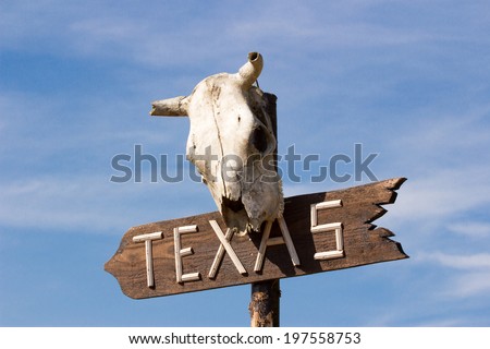 Texas sign with Old horse skull on sky background