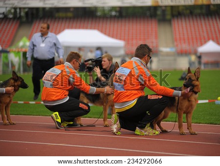 SEP 07, 2014 Nurnberg Biggest german shepherd dog show in Germany. Team Nando vom Welsetal.