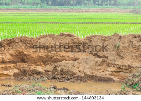 In the village and section of soil. Erosion due to water erosion