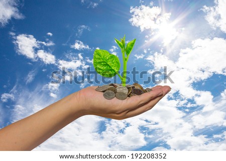 hand holding tree growing on golden coins - saving money