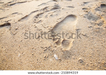human footprints in the sand