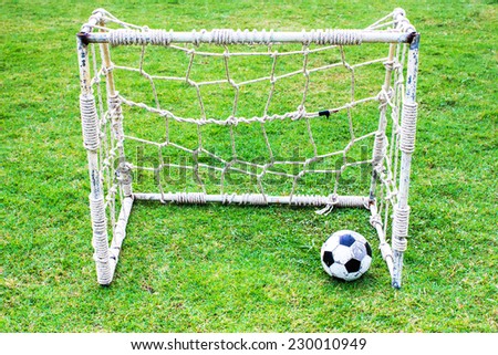 Soccer ball in small gates on green field