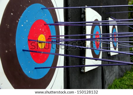 Target archery and many arrow after shoot.