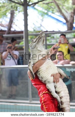 PATTAYA - APRIL 12 : An unidentified farm keeper hold carry of the crocodile as part of \