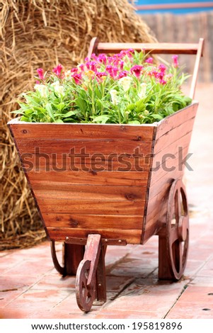 old Wooden Cart planted flowers in the farm.
