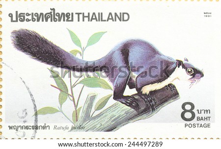 BANGKOK - A old stamp printed by Thailand Post circa 1991 and shows image of Ratufa bicotor animal,THAILAND.