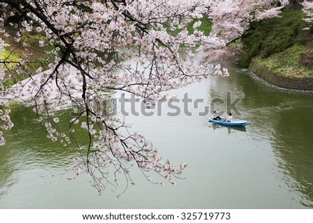 Tokyo,Japan - April 04 : An unidentified japan people and traveler paddle relaxing in Cherry blossom viewing festival at Chidorigafuchi park on 04 April 2015,Tokyo,Japan.