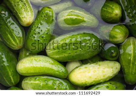 Many green cucumbers lying in water background