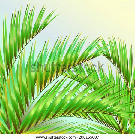 palm tree,