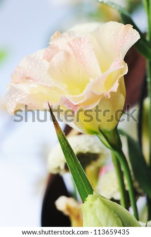 Pink flower in the spring bouquet. Close-up. Narrow depth of field.