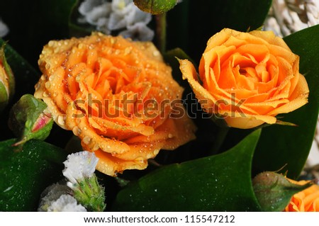 Bouquet of yellow roses. Narrow depth of field.