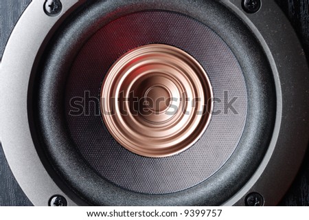 Fragment of acoustic system. Loud speaker.