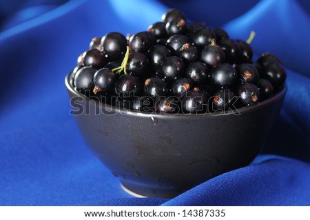 Black currants in the black bowl on the blue background. Narrow depth of field.