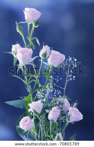 Bouquet with pink rose. Close-up. Narrow depth of field.
