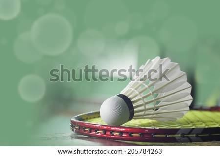 shuttlecocks on a racket for a badminton