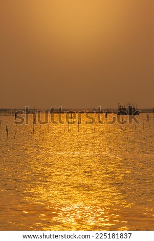 golden shimmering Sea Water with wave,Sun light refection on sea water