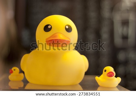 yellow rubber duck at cafe