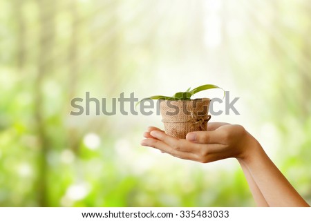 Taking care of new development or the environment nature background