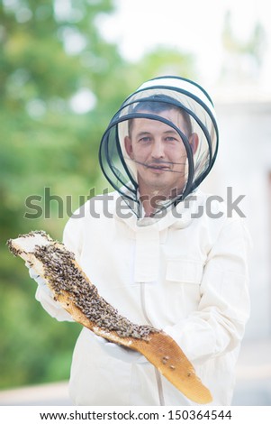 A beekeeper inspects hives. Frame with bees. wild bees. apiarist