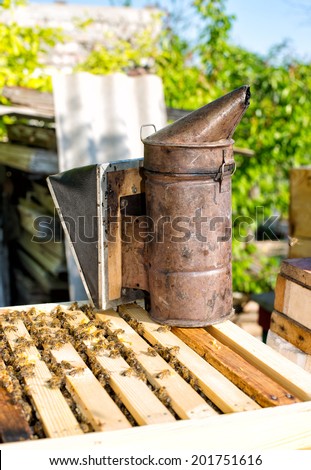 bee smoker. Bee smoker with apiarist working in his apiary on farm