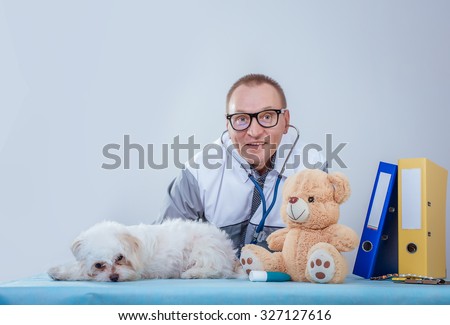 veterinarian is holding a dog. Veterinary clinic.